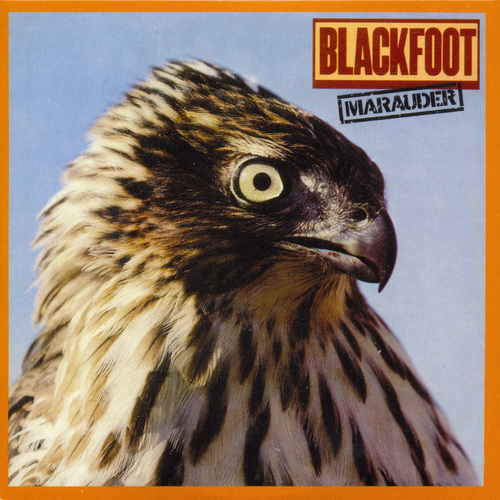 Blackfoot - Original Album Series 