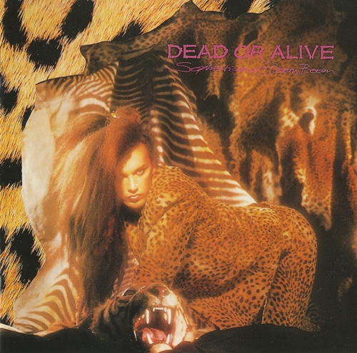 Dead Or Alive - Discography 