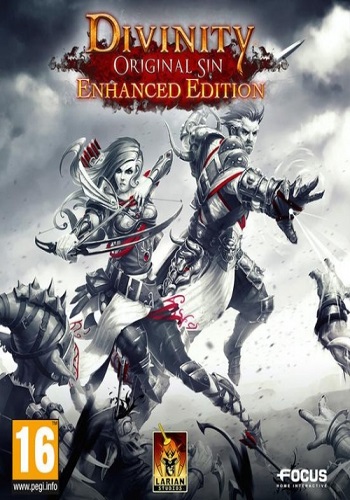 Divinity: Original Sin - Enhanced Edition