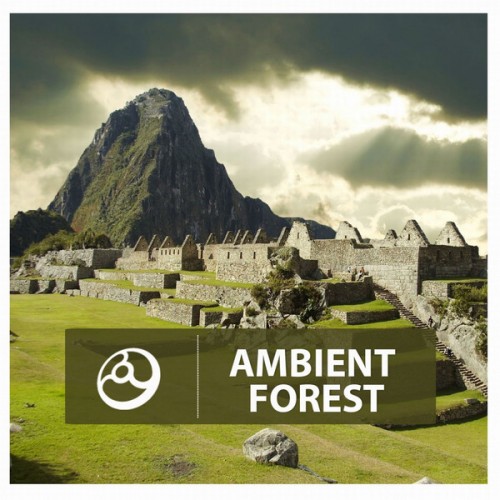 VA - Ambient Sessions, Realms, Attraction, Times... 