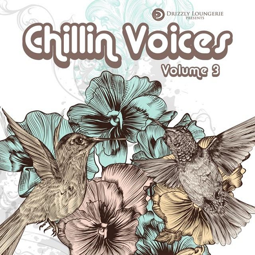 VA - Chillin Voices Vol 1-3 