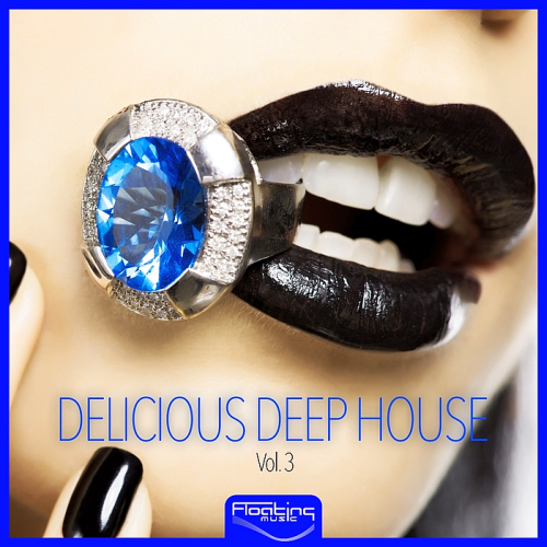 VA - Delicious Deep House Vol 1-3 