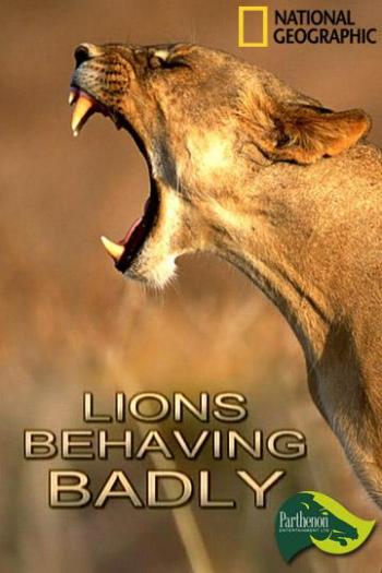 - / Lions Behaving Badly VO