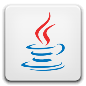 Java Runtime Environment 1.6.0.25