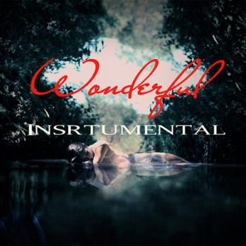 VA - Wonderful Insrtumental