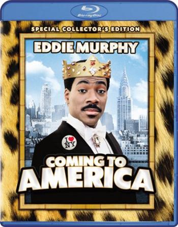    / Coming To America MVO + AVO