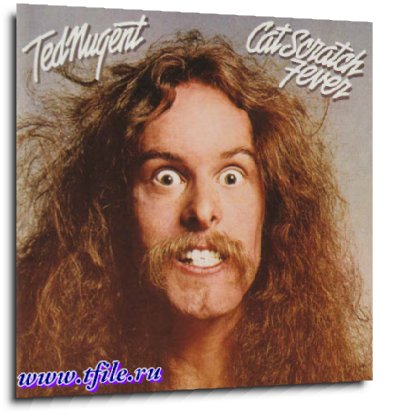 Ted Nugent 