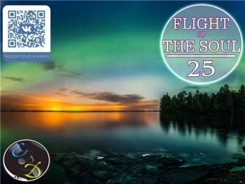 VA - Flight Of The Soul vol.25