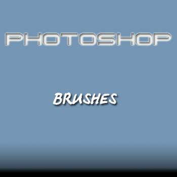   PHOTOSHOP (880 .) (2008)