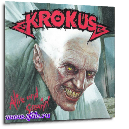 Krokus -  