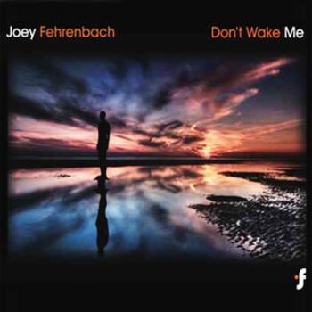 Joey Fehrenbach - Don't Wake Me