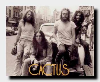 Cactus - 