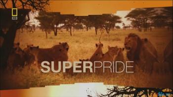  / National Geographic. Superpride VO