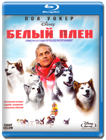   / Eight Below DUB