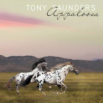 Tony Saunders - Appaloosa