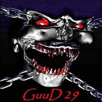 VA - GuuD 29