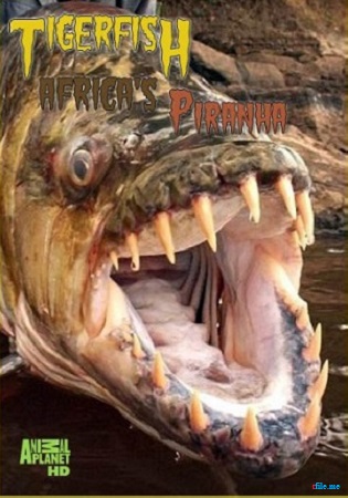 .   / Tigerfish. Africa's Piranha DUB