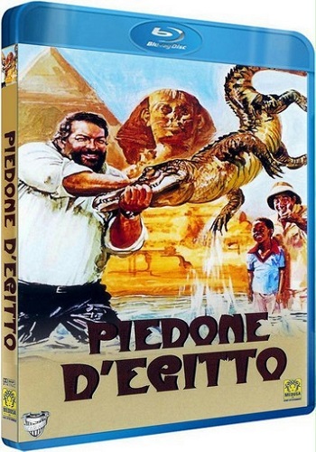    / Piedone d'Egitto DVO