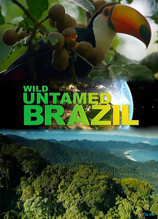   (1-5   5) / Wild Untamed Brazil DUB