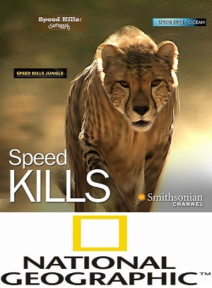   (1-3   3) / NAT GEO WILD. Speed Kills DUB