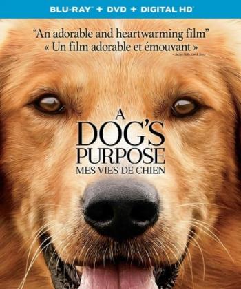   / A Dog's Purpose DUB