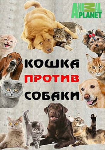    (1 , 1-7   7) / Animal Planet. Cat Vs. Dog VO