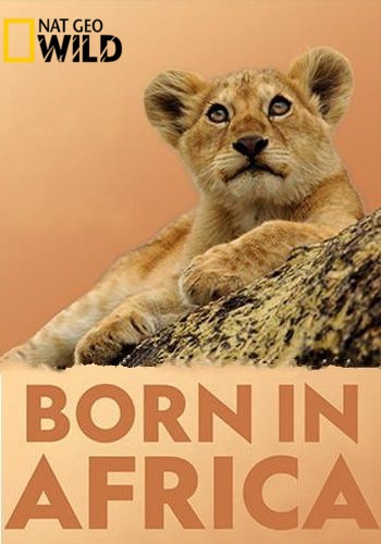   .    / NAT GEO WILD. Born in Africa VO