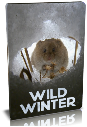   / NAT GEO WILD. Wild winter VO