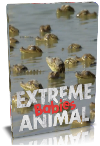 - (1-5   5) / NAT GEO WILD. Extreme babies animal VO