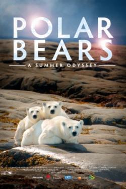   / Polar Bears: A Summer Odyssey VO