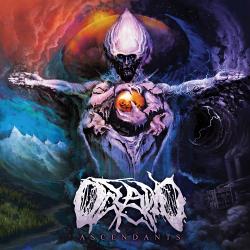 Oceano - Ascendants