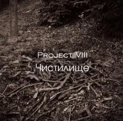 Project VIII - 