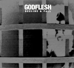 Godflesh - Decline & Fall