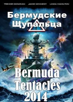   / Bermuda Tentacles MVO