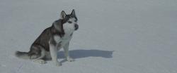   / Eight Below DUB