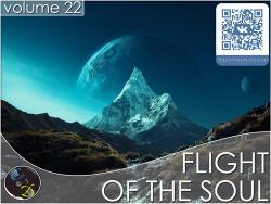 VA - Flight Of The Soul vol.22