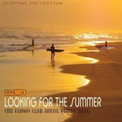 VA - Looking For The Summer