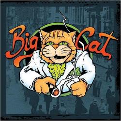 Big Cat - Big Cat