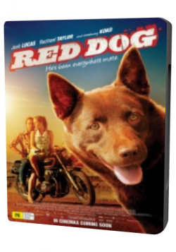   / Red Dog DVO