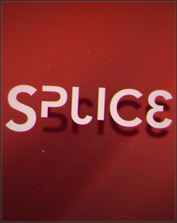 Splice