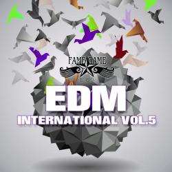 VA - EDM International, Vol. 5