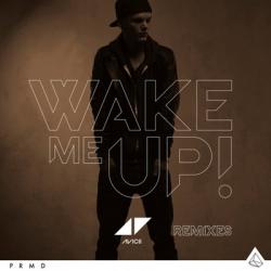 Avicii - Wake Me Up