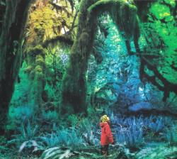 Jacco Gardner - Cabinet Of Curiosities