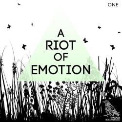 VA - A Riot of Emotion, Vol.1