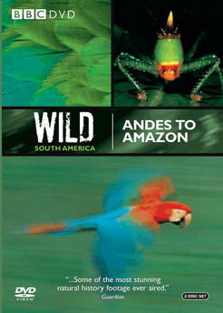 BBC:    / BBC: Wild South America