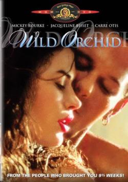   / Wild Orchid