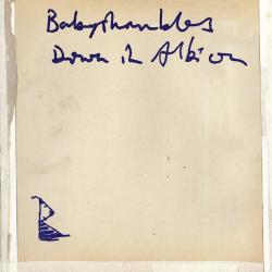 Babyshambles - Down In Albion (2005)