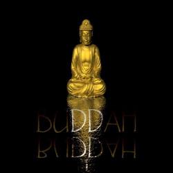 VA - Buddah, Vol. 1