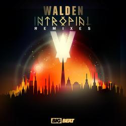 Walden - Intropial