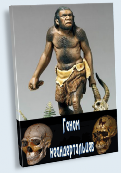   / Decoding the Neanderthals VO